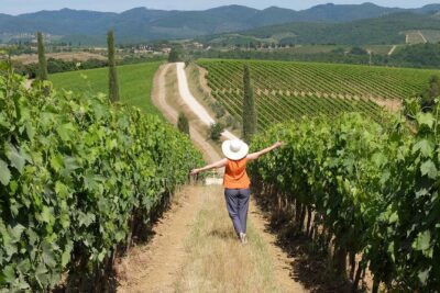 Chianti Half-Day Wine Tour in the Tuscan Hills Small Group from Lucca - Vineyard walking: small stretches, big payoffs