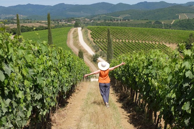 Chianti Half-Day Wine Tour in the Tuscan Hills Small Group from Lucca - Vineyard walking: small stretches, big payoffs