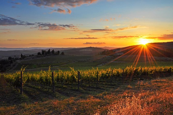 Chianti Half-day Wine Tour in the Tuscan's Hills from Pisa - Most Useful Highlights Before You Go