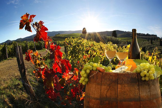 Chianti Half-day Wine Tour in the Tuscan's Hills from Pisa - From Pisa to the Tuscan Hills: Why the Ride Is Part of the Point