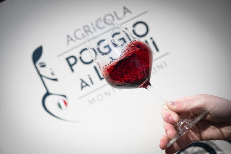 Chianti: Lunch with Wine Tasting at Poggio ai Laghi Winery - Accessibility and language: easier than it sounds