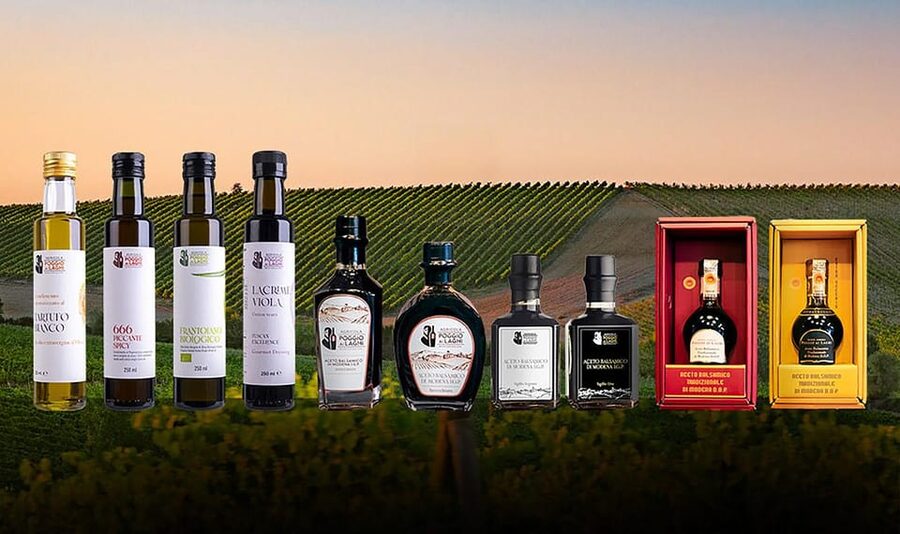 Chianti: Lunch with Wine Tasting at Poggio ai Laghi Winery - What kind of traveler should book this?