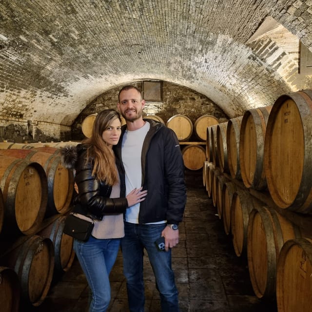 Chianti: Vineyard to Bottle Winery Visit with Tastings - Should you book Casa Sola’s vineyard-to-bottle visit?