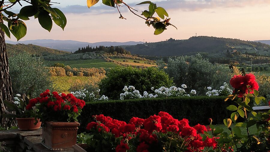 Chianti: Vineyard to Bottle Winery Visit with Tastings - Tour of the cellars: learning how aging changes the wine