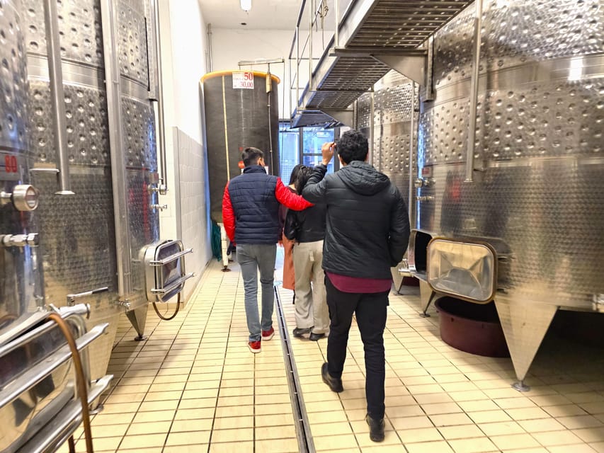 Chianti: Vineyard to Bottle Winery Visit with Tastings - Your tasting flight: Chianti Classico, Riserva, and Montarsiccio