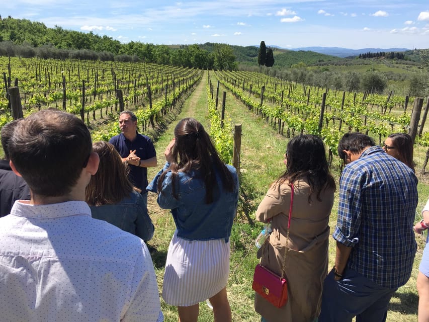 Chianti: Vineyard to Bottle Winery Visit with Tastings - Timing, weather, and comfort details that matter on the day
