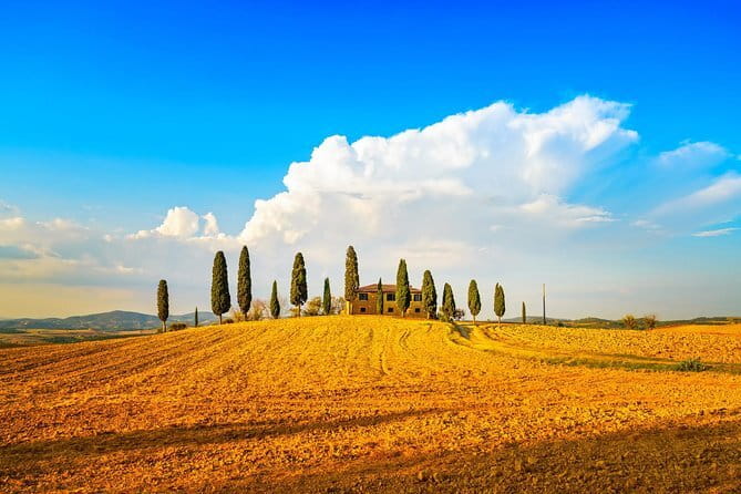 Chianti Vineyards Escape from Florence with Two Wine Tastings - Pace, Group Size, and How It Feels on a Coach Tour
