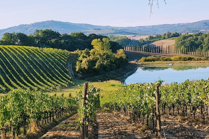 Chianti Wine Tastings Day Trip at Sunset from Florence - Why Chianti at golden hour feels different from daytime tastings