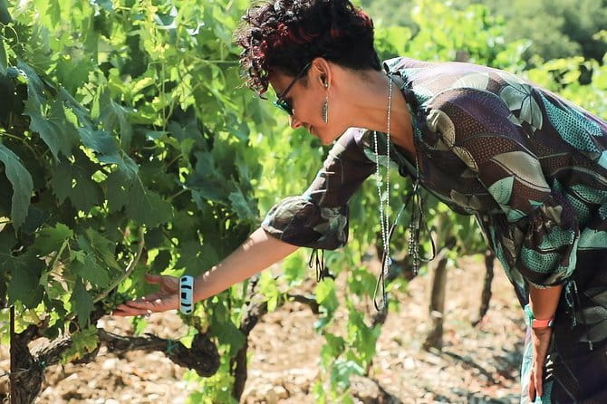 Chianti Wine Tour from Florence - Via Chiantigiana Coach Ride: Why the Drive Feels Like Part of the Tour