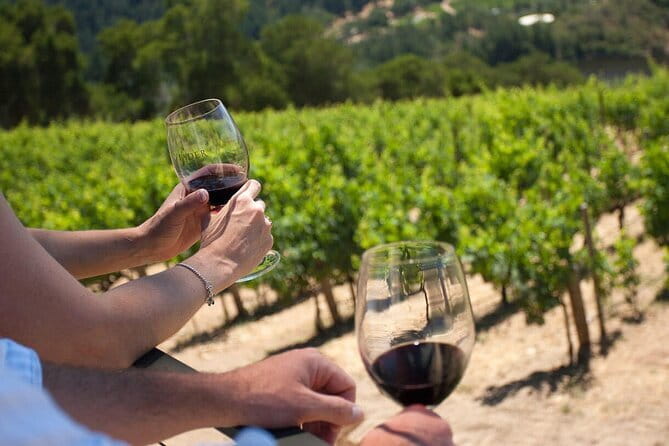 Chianti Wine Tour from Florence - Food and Wine Pairing: Bruschetta, Pecorino, Balsamic, and Small-Plate Reality