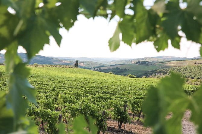 Chianti Wine Tour from Florence - Price and Value: Is $59.13 a Good Deal?