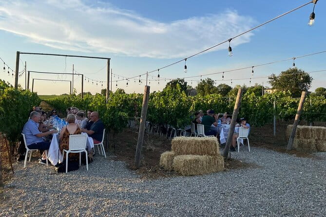 Chianti Wine Tour from Florence with Tastings - Olive Oil and Balsamic Vinegar: The Tasting That Turns Into a Mini Education
