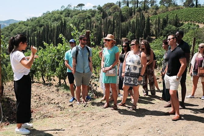 Chianti Wine Tour from Florence - Winery Stop Two in Sienese Chianti Classico: Vineyard Walk, Cellars, Aromatic Garden