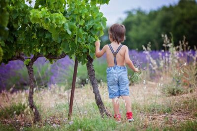 Chianti Wine Tour in Tuscany from Florence - Towers, Piazza del Duomo, Piazza della Cisterna, and gelato breaks