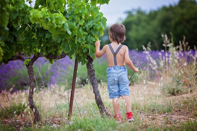 Chianti Wine Tour in Tuscany from Florence - Towers, Piazza del Duomo, Piazza della Cisterna, and gelato breaks