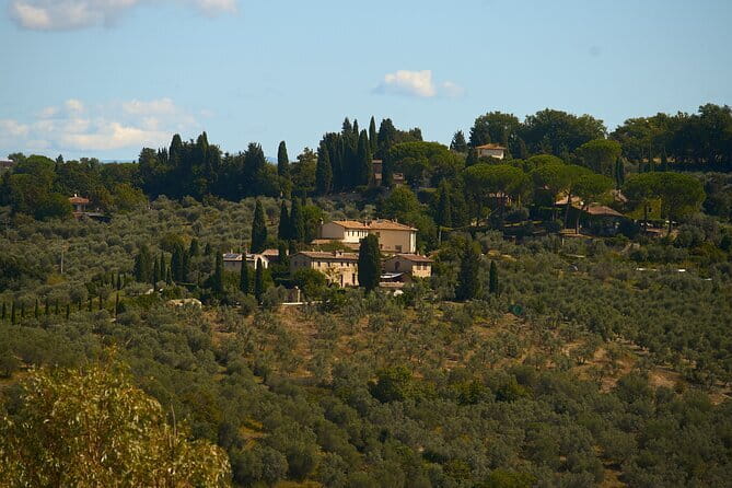 Chianti Wine Tour with Tastings Semi-Private Experience - Price and value: what your $260.14 is really buying