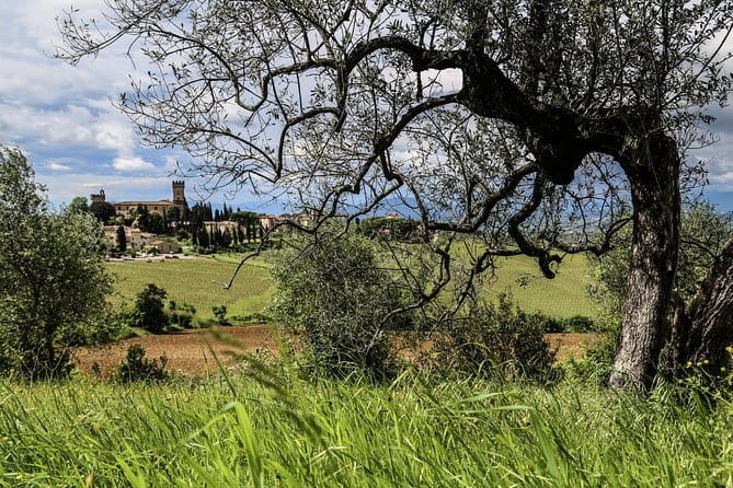 Chianti Wineries Tour with Tuscan Lunch and San Gimignano - Who this tour suits best