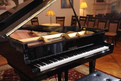 Chopin Piano Concert at Chopin Gallery with a Glass of Wine - Inside the venue: small room energy and close piano seating