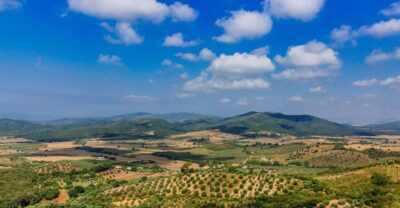 Civitavecchia: Tuscany Full-Day Guided Trip w/Wine Tasting - The Drive Through Maremma: Where Tuscany Feels Like Several Places