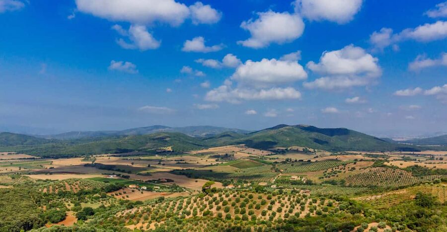 Civitavecchia: Tuscany Full-Day Guided Trip w/Wine Tasting - The Drive Through Maremma: Where Tuscany Feels Like Several Places