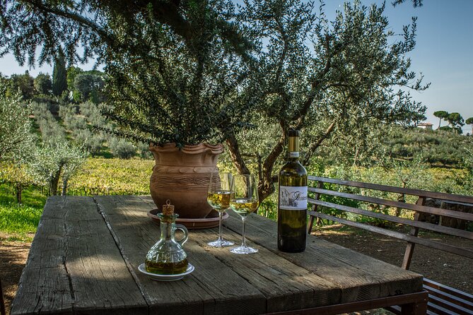 Classic Half-Day Wine Tour in Frascati with Lunch - How the value stacks up for $108.84 per person