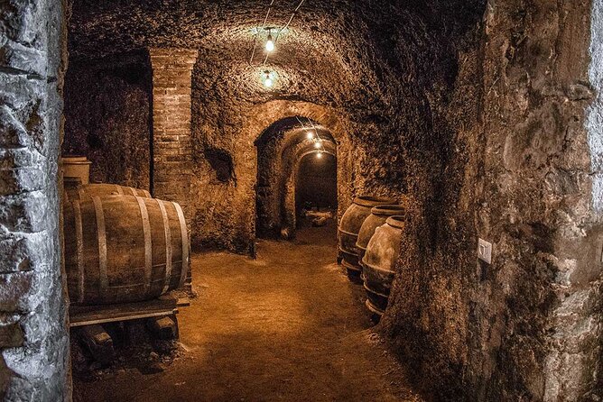 Classic Half-Day Wine Tour in Frascati with Lunch - Group size and guide style: why the day feels relaxed