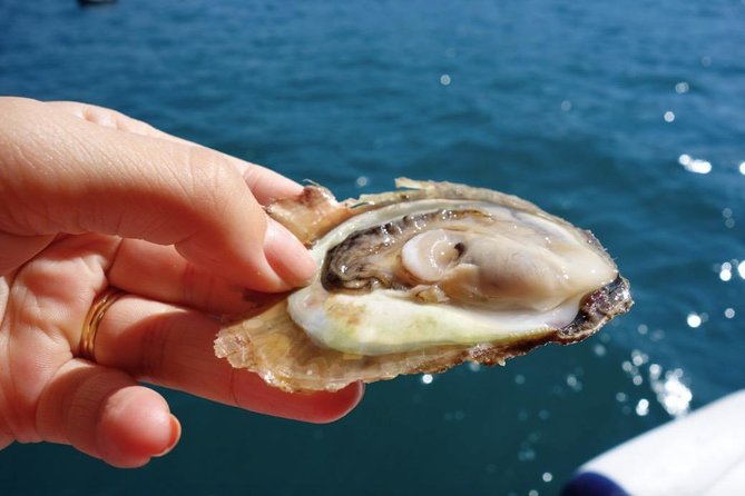 Classic Tour with Wine Tastings from Dubrovnik - From Dubrovnik to Peljesac Peninsula: a scenic day with built-in context