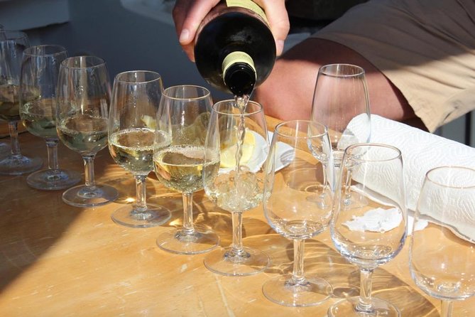 Classic Tour with Wine Tastings from Dubrovnik - Who should book this Dubrovnik wine-and-walls day