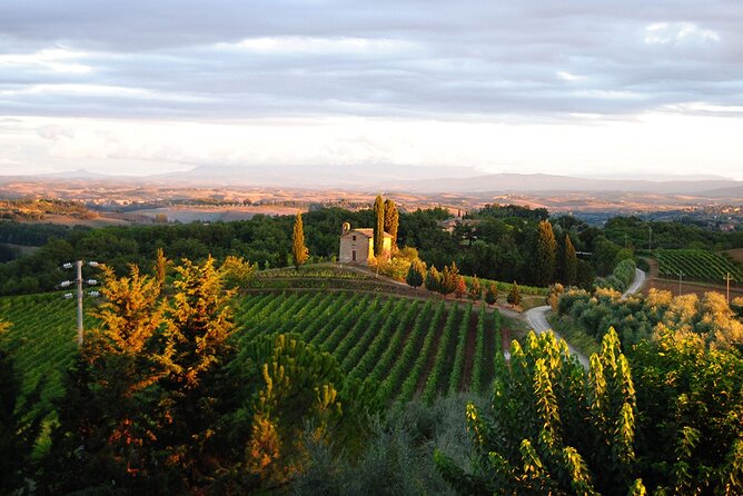 "CLASSIC" Wine Tasting and Typical Tuscan Products - How the Wine Choices Connect to the Land (And to Your Glass)