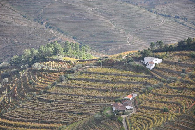 Classic Wine Tasting with GUIDED TOUR - Price and value: why $30.23 makes sense here