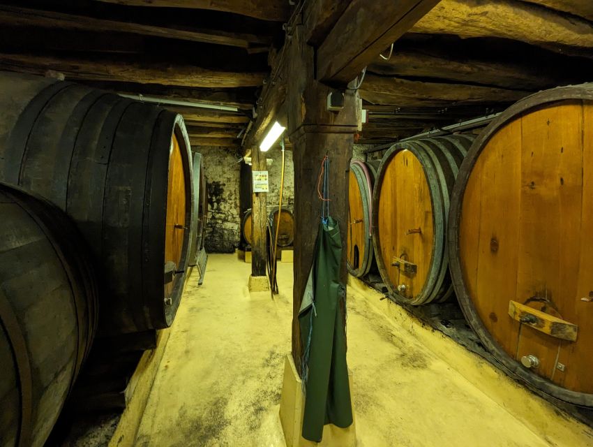 Colmar: Highlights Walking Tour and Wine Tasting - Meeting at Parc du Champ de Mars: easy start, local vibe