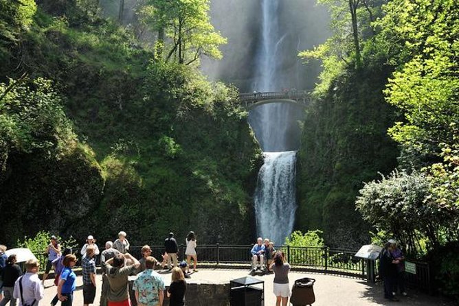 Columbia Gorge Waterfalls & Wineries from Portland: All-Inclusive Afternoon Tour - Getting picked up in comfort (and why the van size matters)