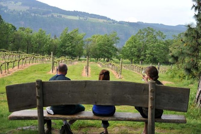 Columbia Gorge Waterfalls & Wineries from Portland: All-Inclusive Afternoon Tour - Price and value: what $189 really buys you