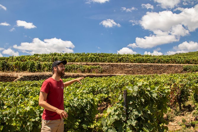 Complete Douro Valley Wine Tour with Lunch, Wine Tastings and River Cruise - Key things that make this Douro tour work