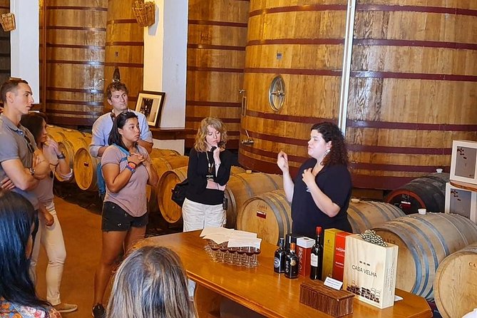Complete Douro Valley Wine Tour with Lunch, Wine Tastings and River Cruise - Folgosa winery finish: vineyard-to-bottle and a final tasting round