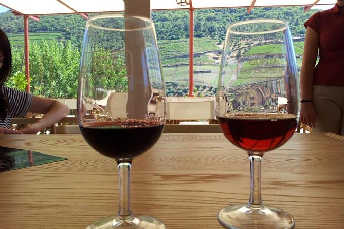 Complete Douro Valley Wine Tour with Lunch, Wine Tastings and River Cruise - The drive factor: Estrada Nacional 222 and why you should look out the window