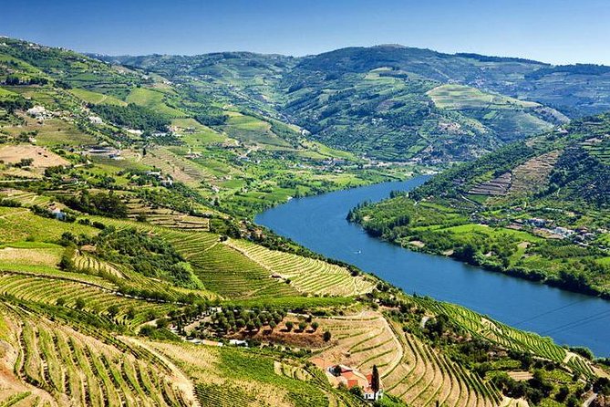 Complete Douro Valley Wine Tour with Lunch, Wine Tastings and River Cruise - Price and value: is $101.76 a fair deal?