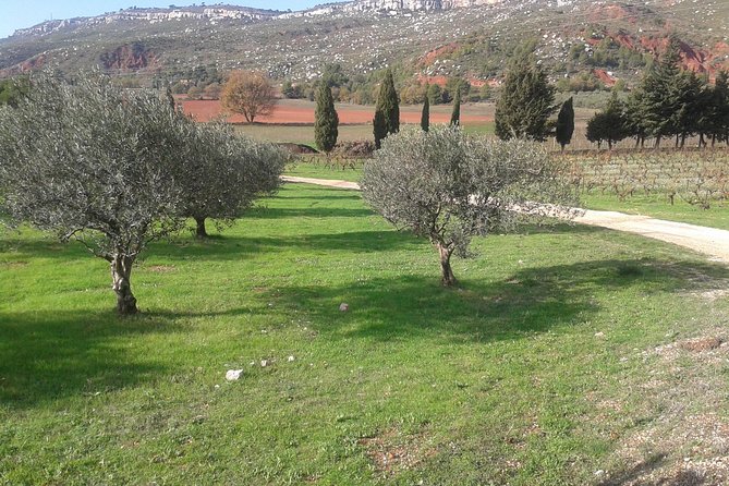 Cotes de Provence Wine Tour from Aix-en-Provence - Key Points to Know Before You Go
