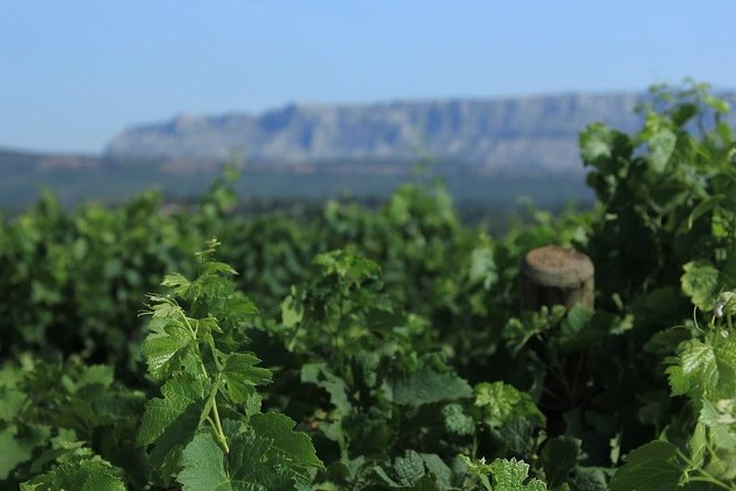 Cotes de Provence Wine Tour from Aix-en-Provence - The 3-Hour Pace That Works in Aix-en-Provence