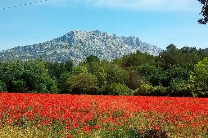 Cotes de Provence Wine Tour from Aix-en-Provence - Stop 1: Mas de Cadenet (or Another Winery Swap)