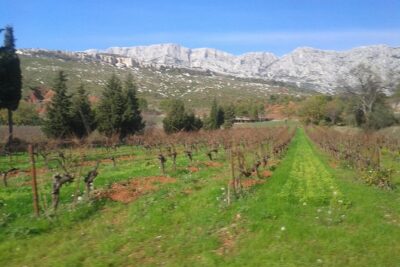 Cotes de Provence Wine Tour from Aix-en-Provence - Driving Is Taken Care Of, and That Changes Everything
