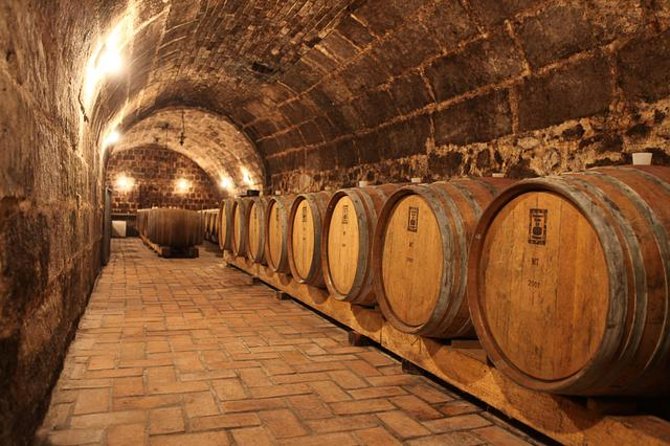 Countryside Half-day Gastro-Wine Tour from Budapest Meal & pickup - Key things that make this tour worth your time