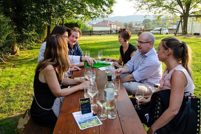 Countryside Half Day Wine Tour near Vienna - Key things that make this tour work