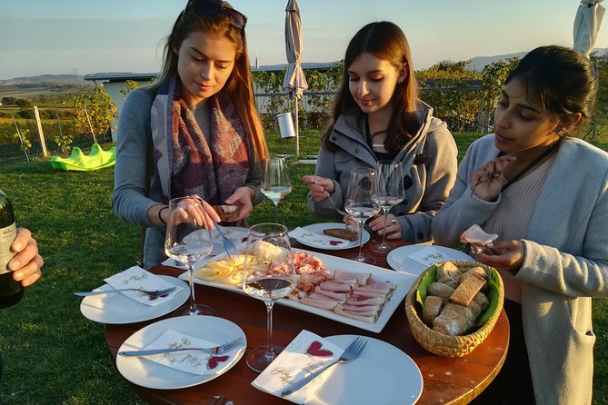 Countryside Half Day Wine Tour near Vienna - Weinviertel wine country: the 30-minute ride that matters