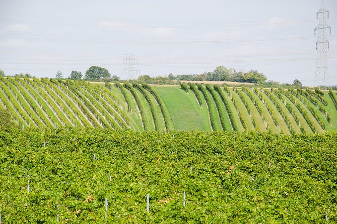 Countryside Half Day Wine Tour near Vienna - Tips to make your tasting day feel worth it