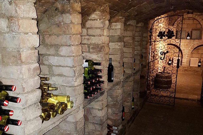 Countryside Half Day Wine Tour near Vienna - Price and value: what $145.12 buys in the real world
