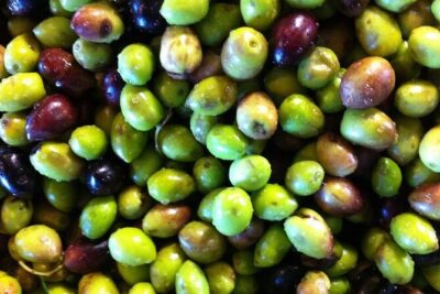 Crete: Olive Oil, Soap, Wine, Raki - Flavorful Culinary Journey - The Soap-Making Workshop: The Surprise Stop You’ll Actually Remember
