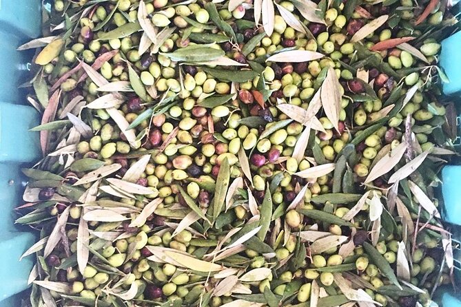 Crete: Olive Oil, Soap, Wine, Raki - Flavorful Culinary Journey - What to Bring: Tiny Prep That Saves the Day