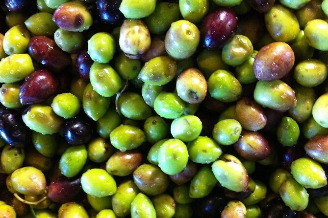 Crete: Olive Oil, Soap, Wine, Raki - Flavorful Culinary Journey - The Soap-Making Workshop: The Surprise Stop You’ll Actually Remember