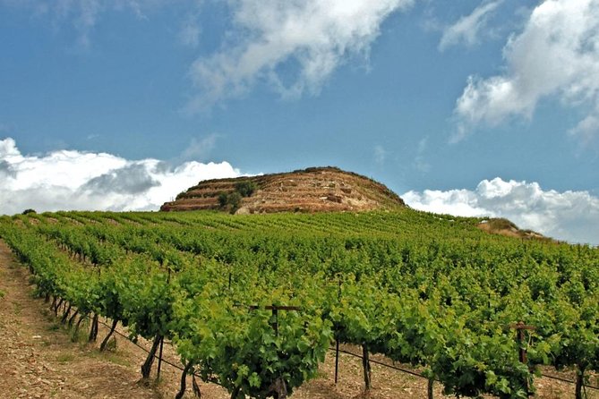 Crete Wine and Olive Oil Tour - Key Highlights You’ll Feel Right Away